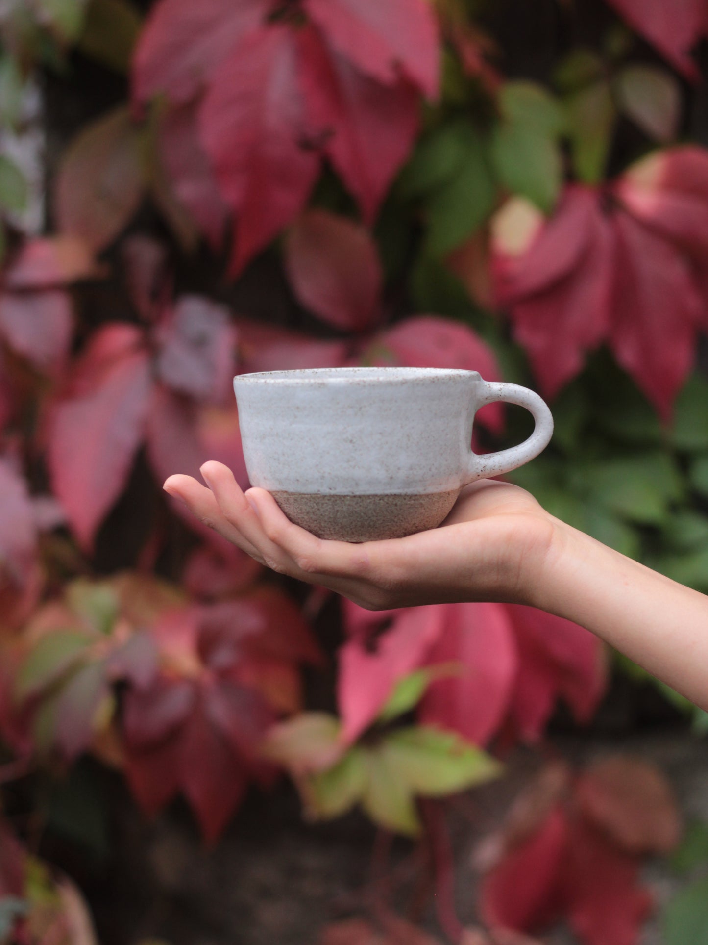 Tazza Charlotte - giovelab